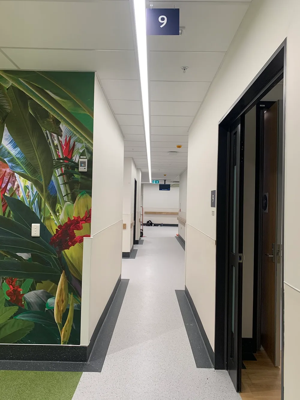 Auckland Stroke Unit