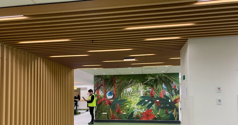 Auckland Stroke Unit