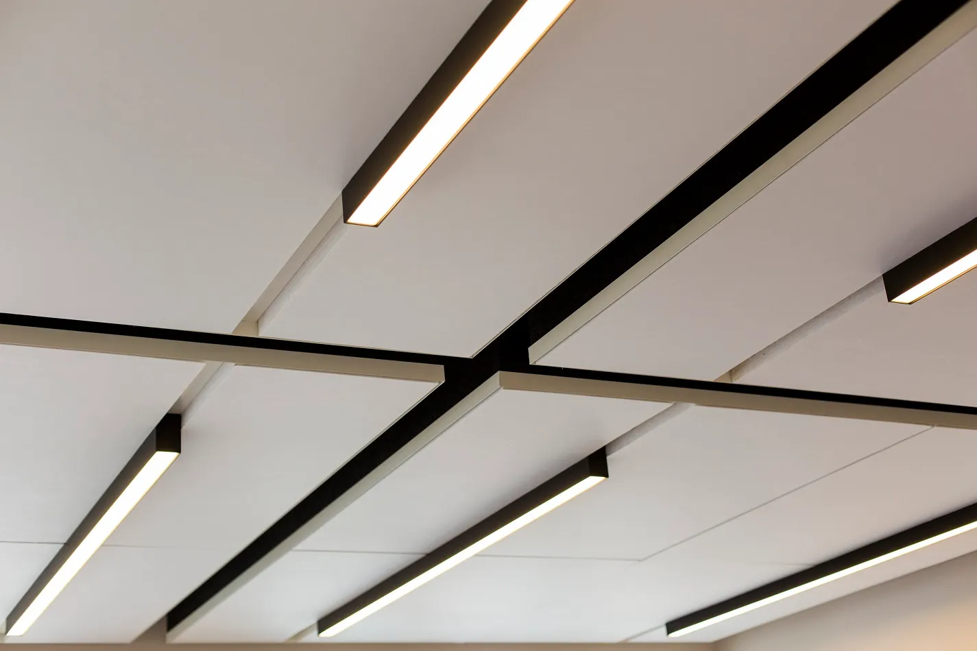 Arts Centre, Chemistry Building — view 4