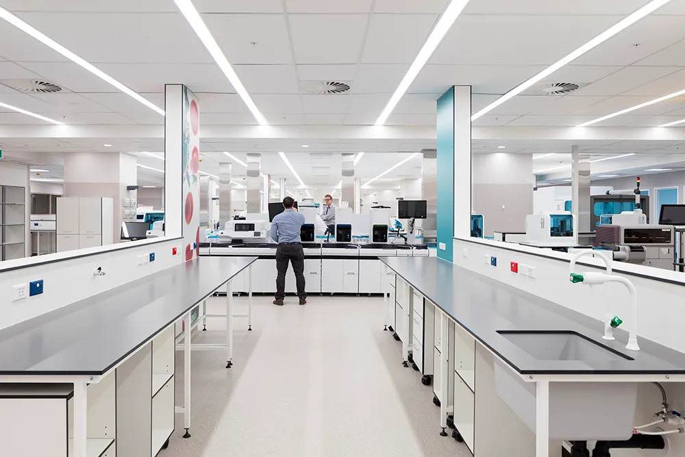Harley Gray Lab, Middlemore Hospital