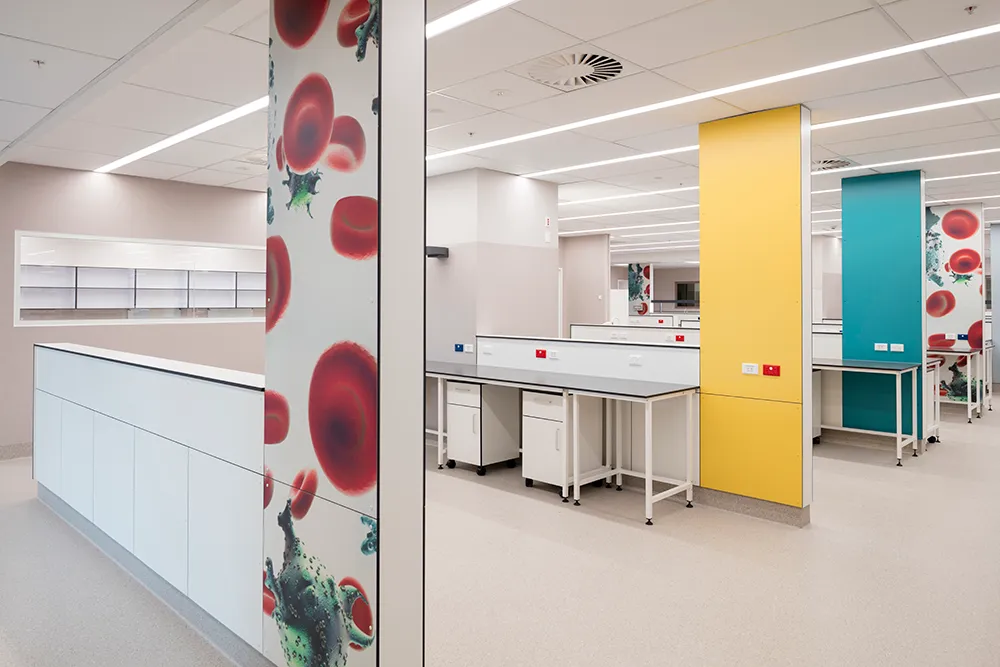 Harley Gray Lab, Middlemore Hospital