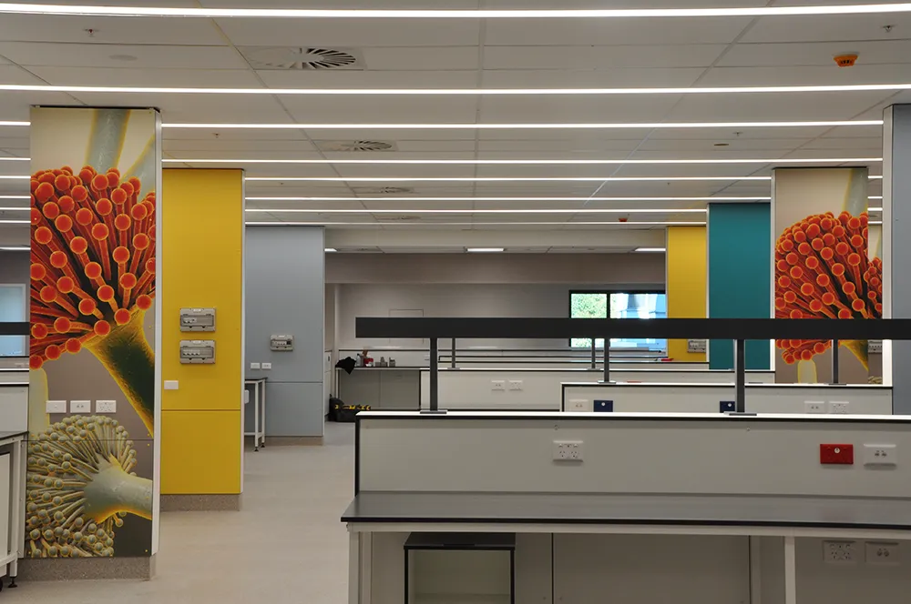 Harley Gray Lab, Middlemore Hospital — view 3
