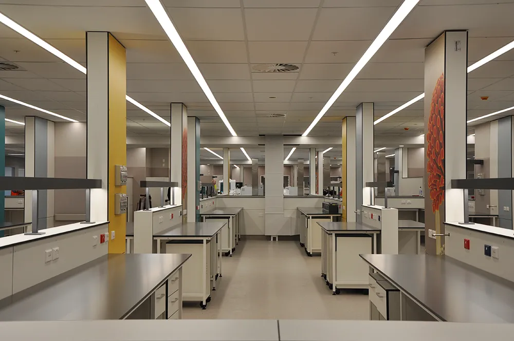 Harley Gray Lab, Middlemore Hospital — view 5