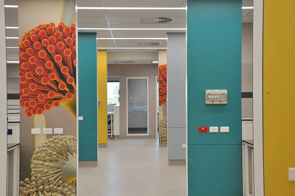 Harley Gray Lab, Middlemore Hospital — view 6