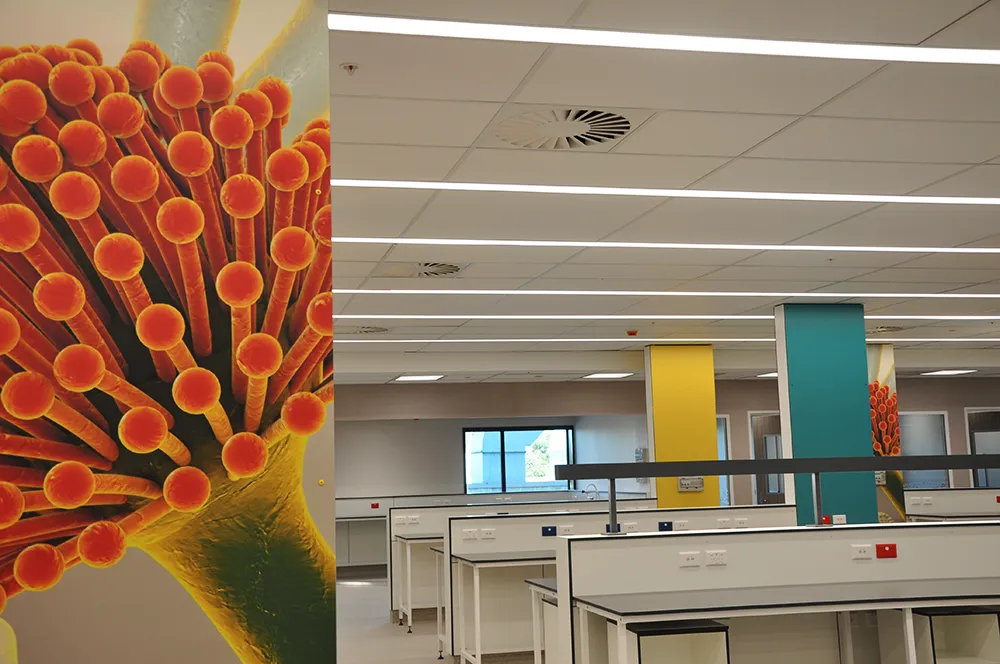 Harley Gray Lab, Middlemore Hospital — view 8