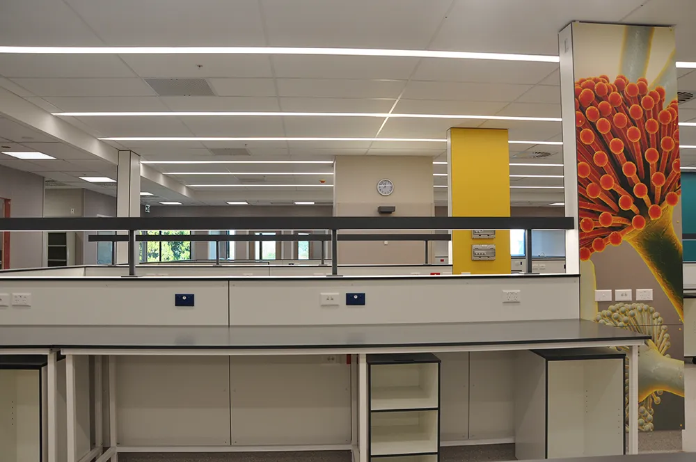 Harley Gray Lab, Middlemore Hospital — view 9
