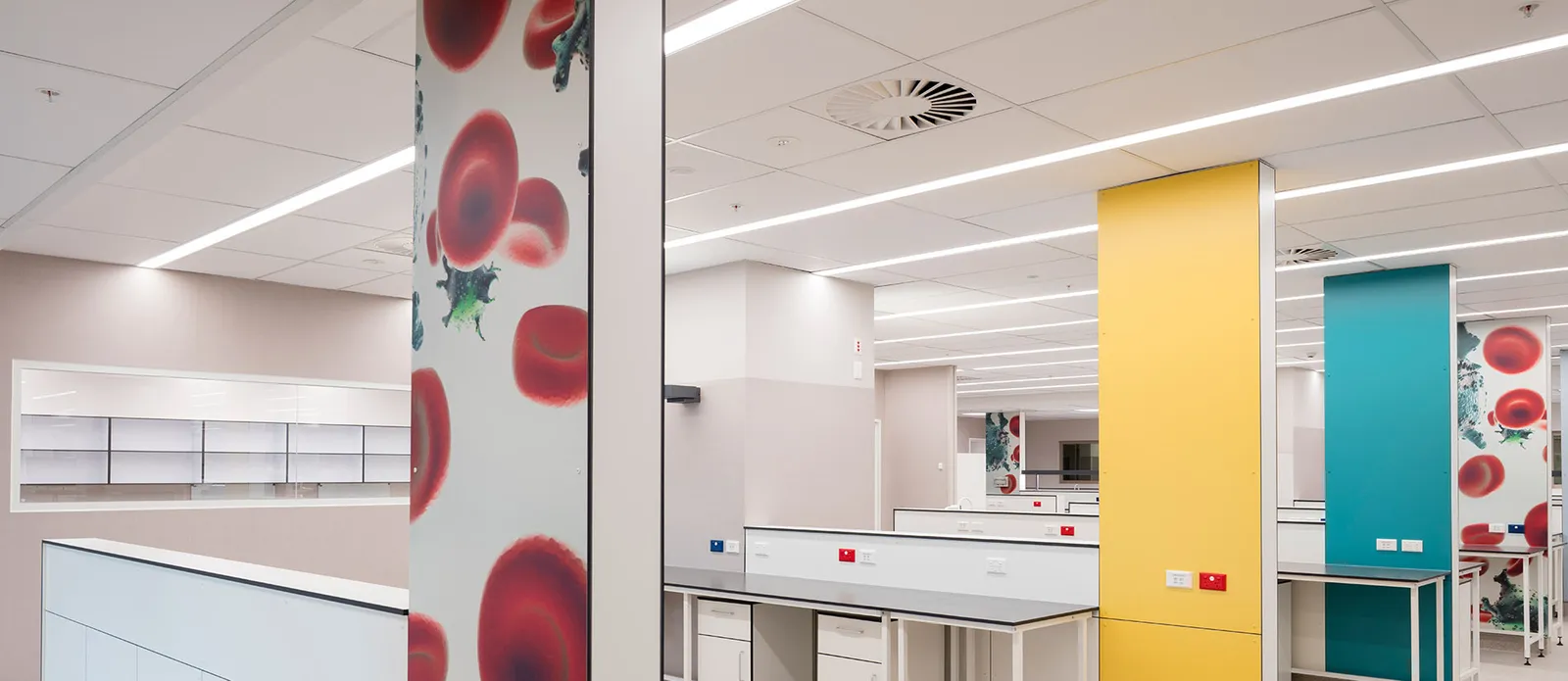 Harley Gray Lab, Middlemore Hospital