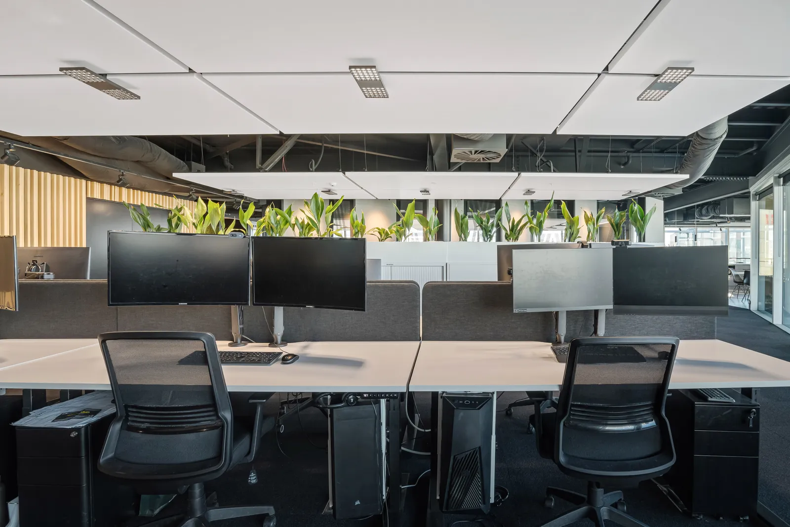 Spark Square Office Fitout — view 6